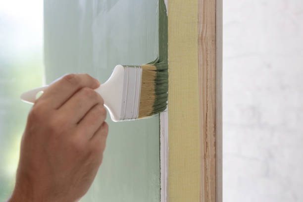 Best Basement Mold Removal  in Aberdeen, SD