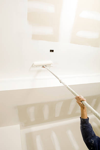 Reliable Aberdeen, SD Mold Removal Solutions